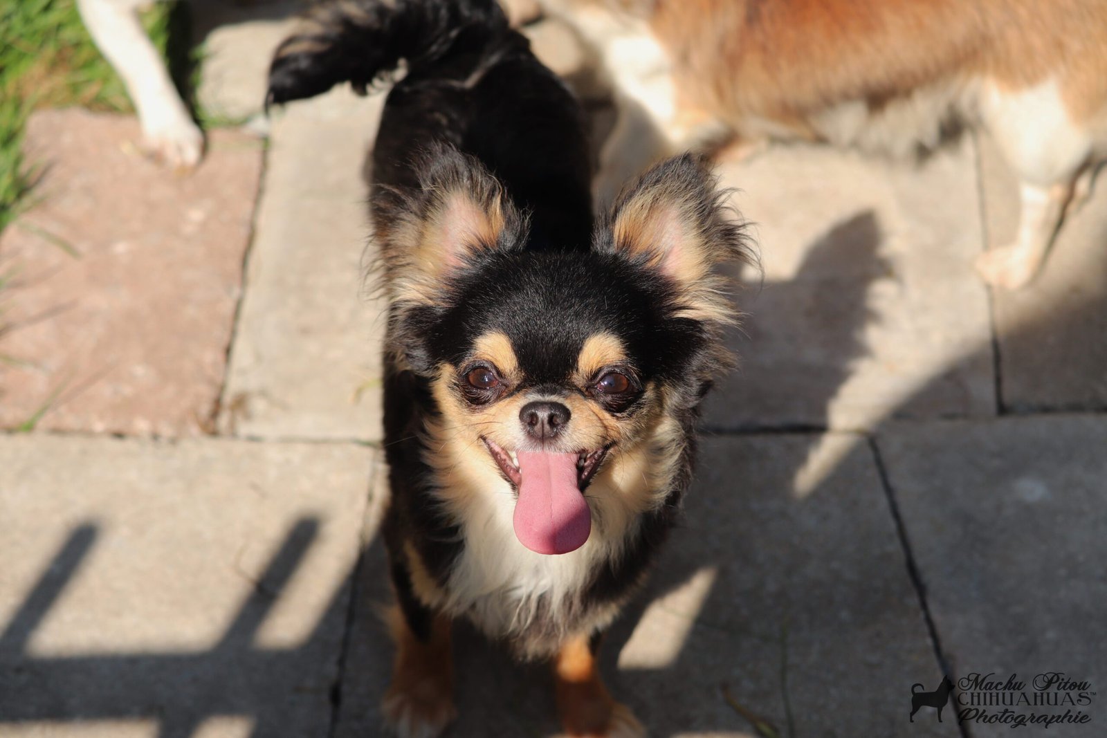 Lana 1er juin 2023 1