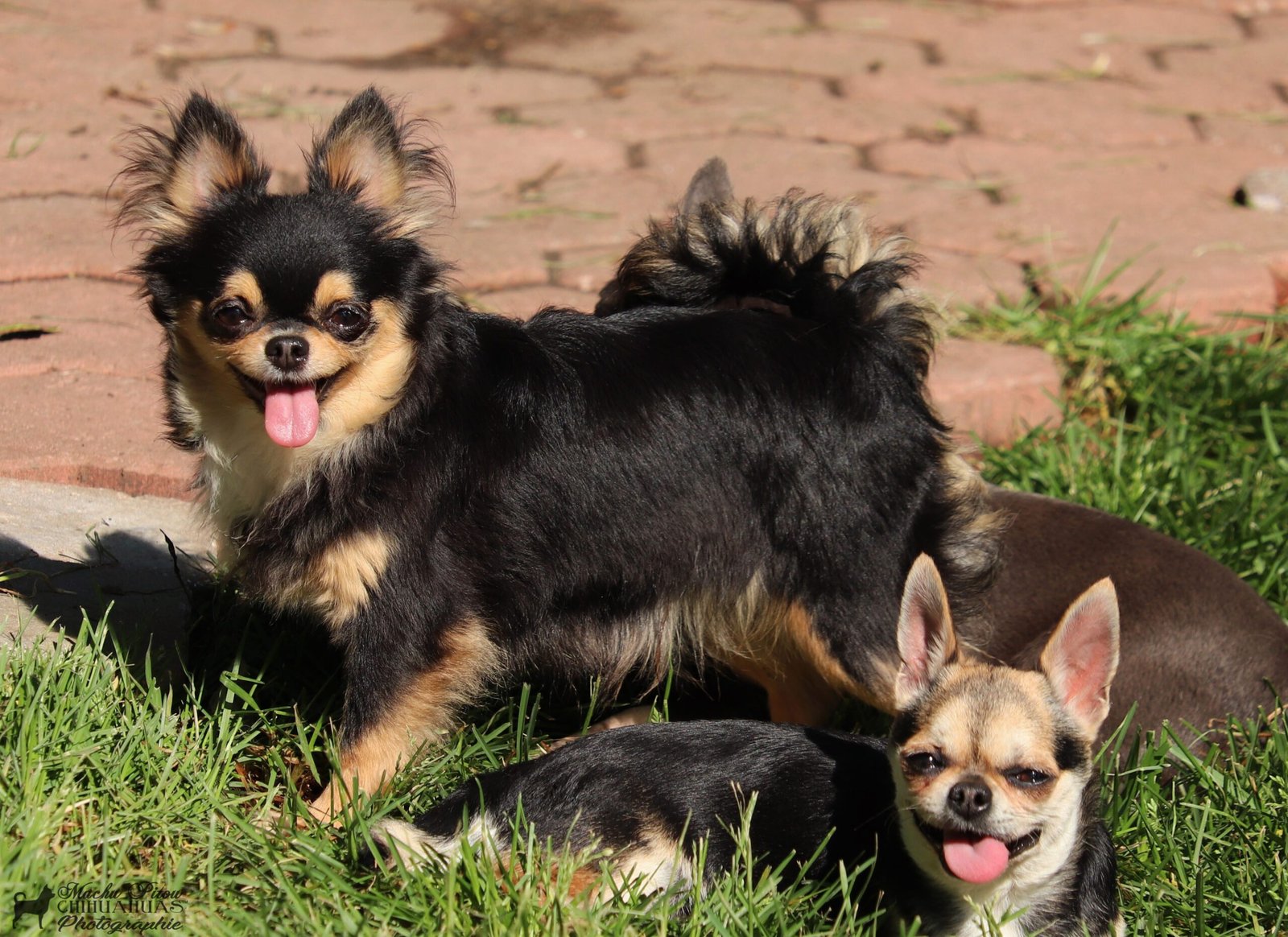 Lana et Amber 1er juin 2023