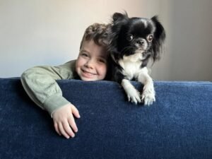 Chihuahua