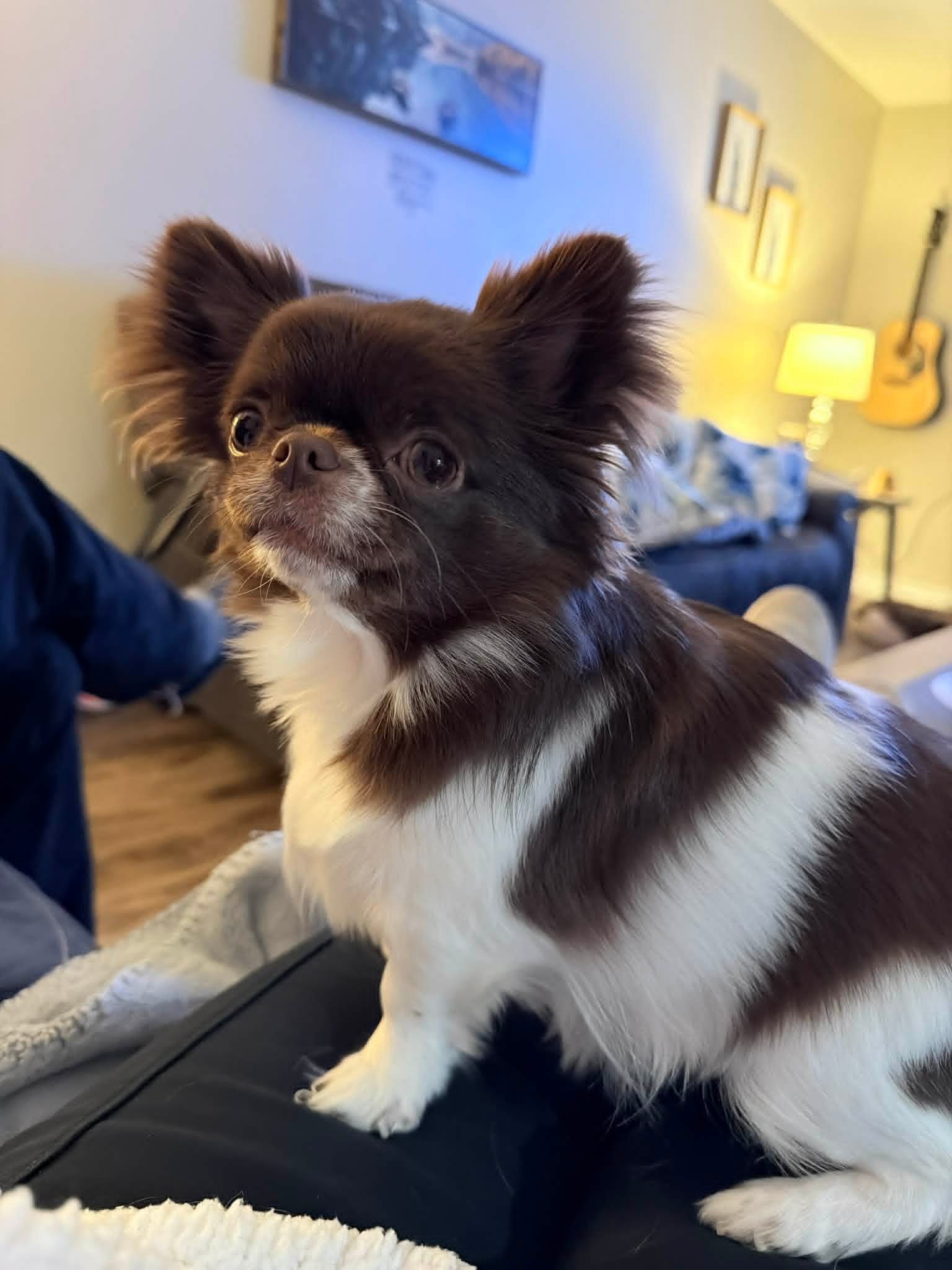 Karen
