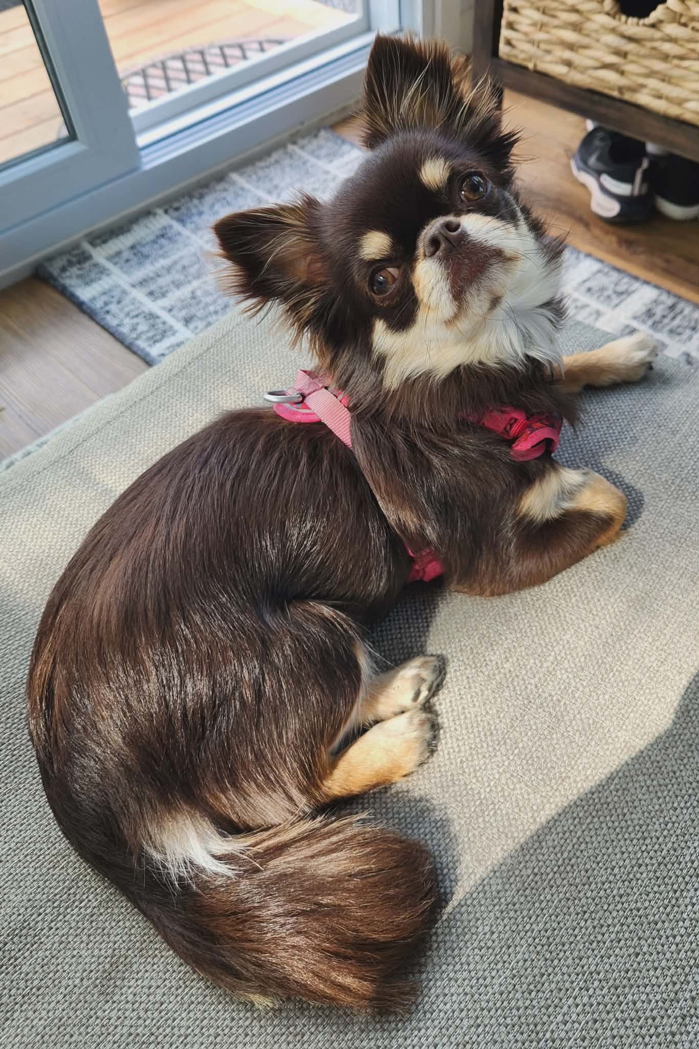 Julie
